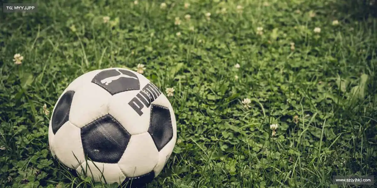 我们的核心竞争力